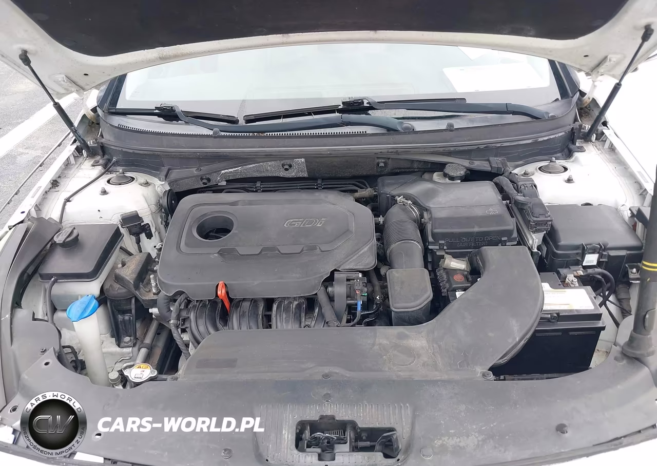 2016 Hyundai Sonata 2.4L Se VIN:5NPE24AF4GH381391 - 10