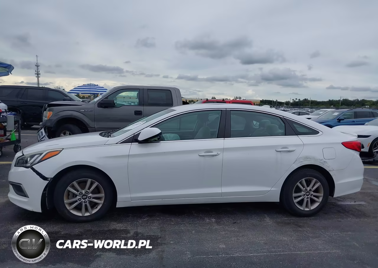 2016 Hyundai Sonata 2.4L Se VIN:5NPE24AF4GH381391 - 13