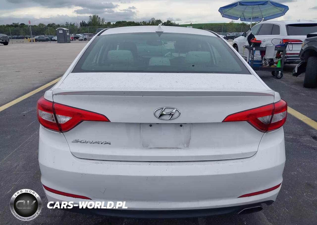 2016 Hyundai Sonata 2.4L Se VIN:5NPE24AF4GH381391 - 15