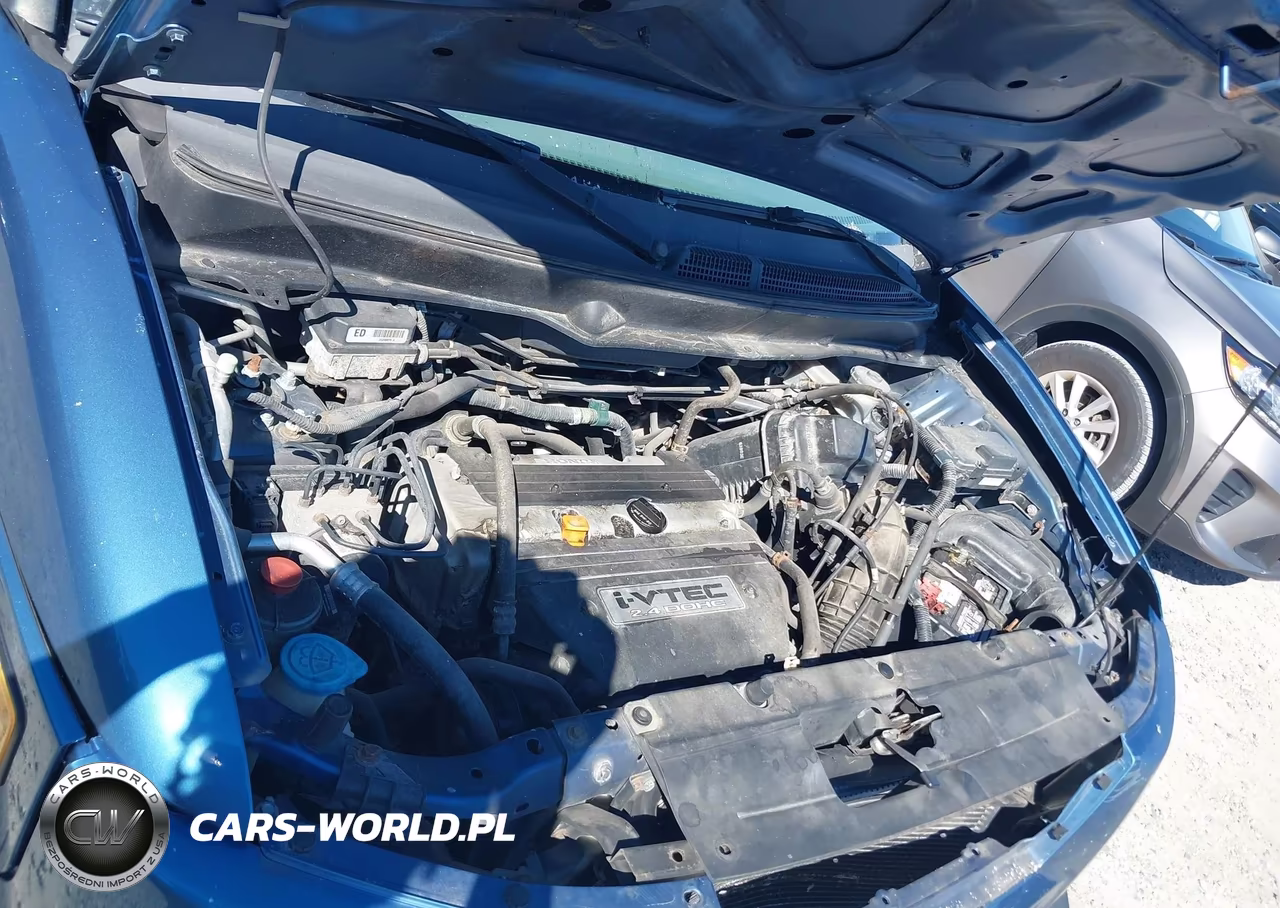 2006 Honda Element Ex-P VIN:5J6YH27736L011778 - 10