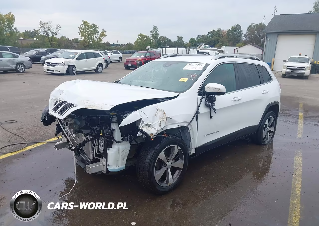 2020 Jeep Cherokee Limited 4X4 VIN:1C4PJMDX8LD622465 - 2