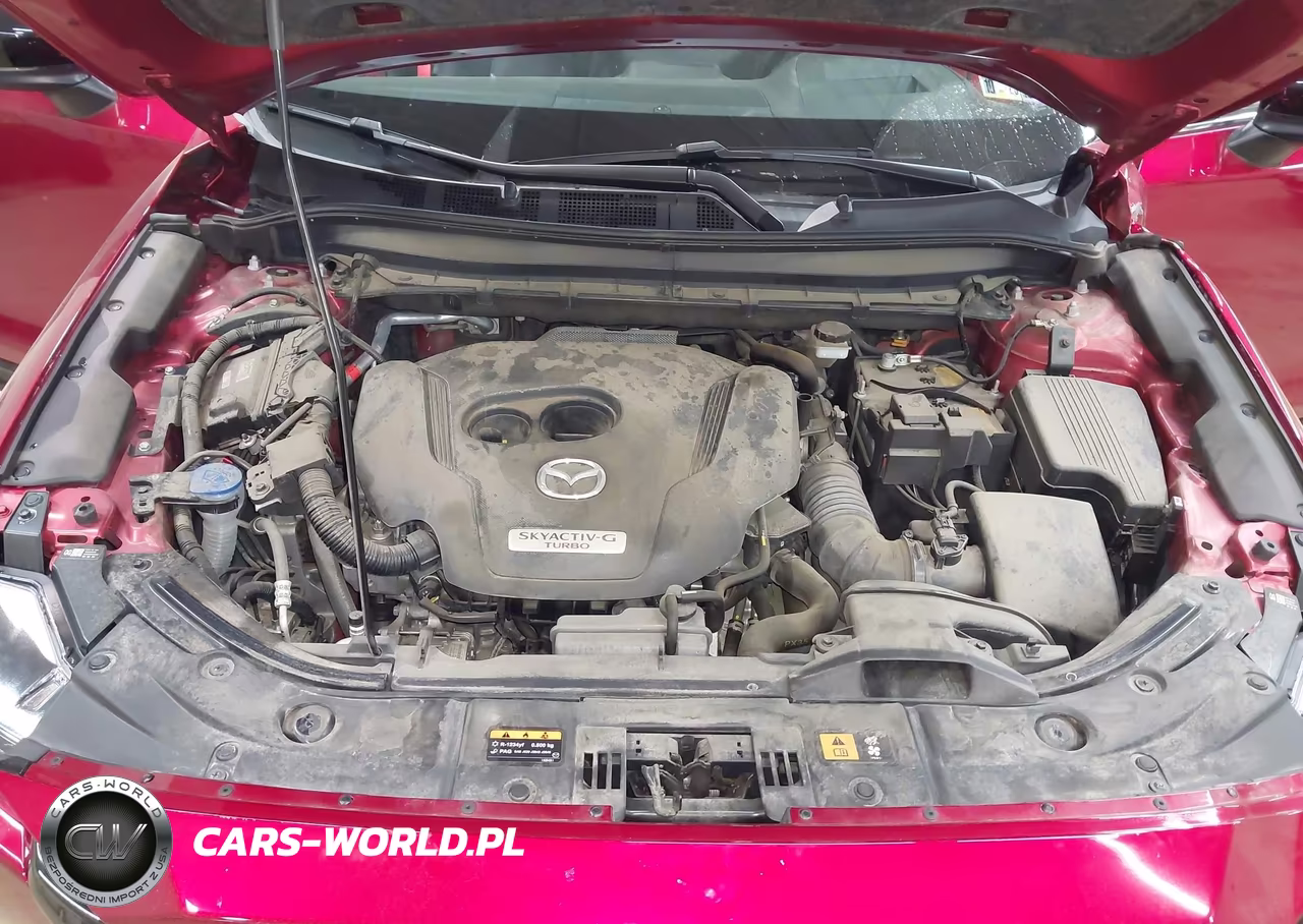 2024 Mazda Cx-5 2.5 Turbo Premium VIN:JM3KFBDY2R0357381 - 10