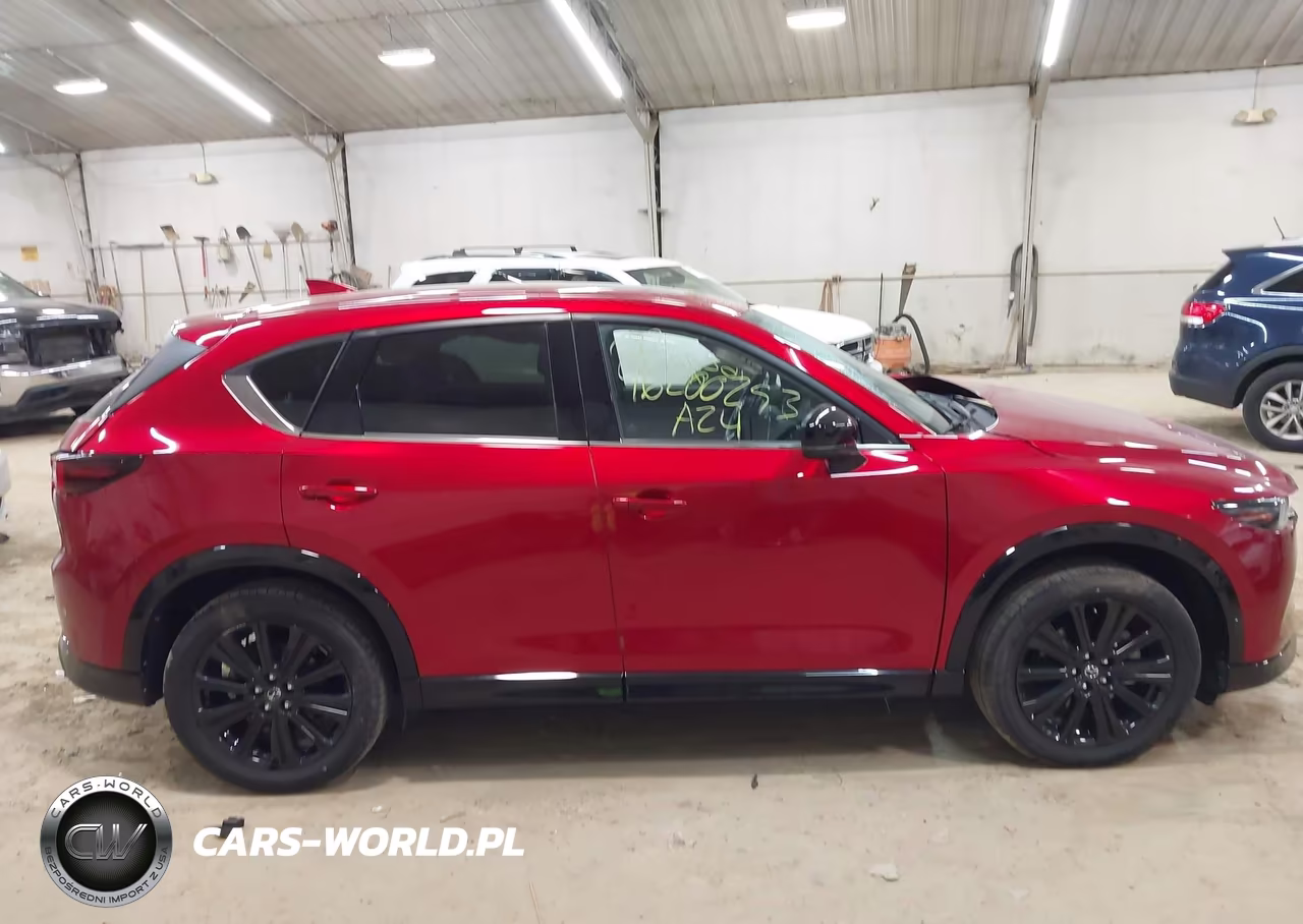 2024 Mazda Cx-5 2.5 Turbo Premium VIN:JM3KFBDY2R0357381 - 13