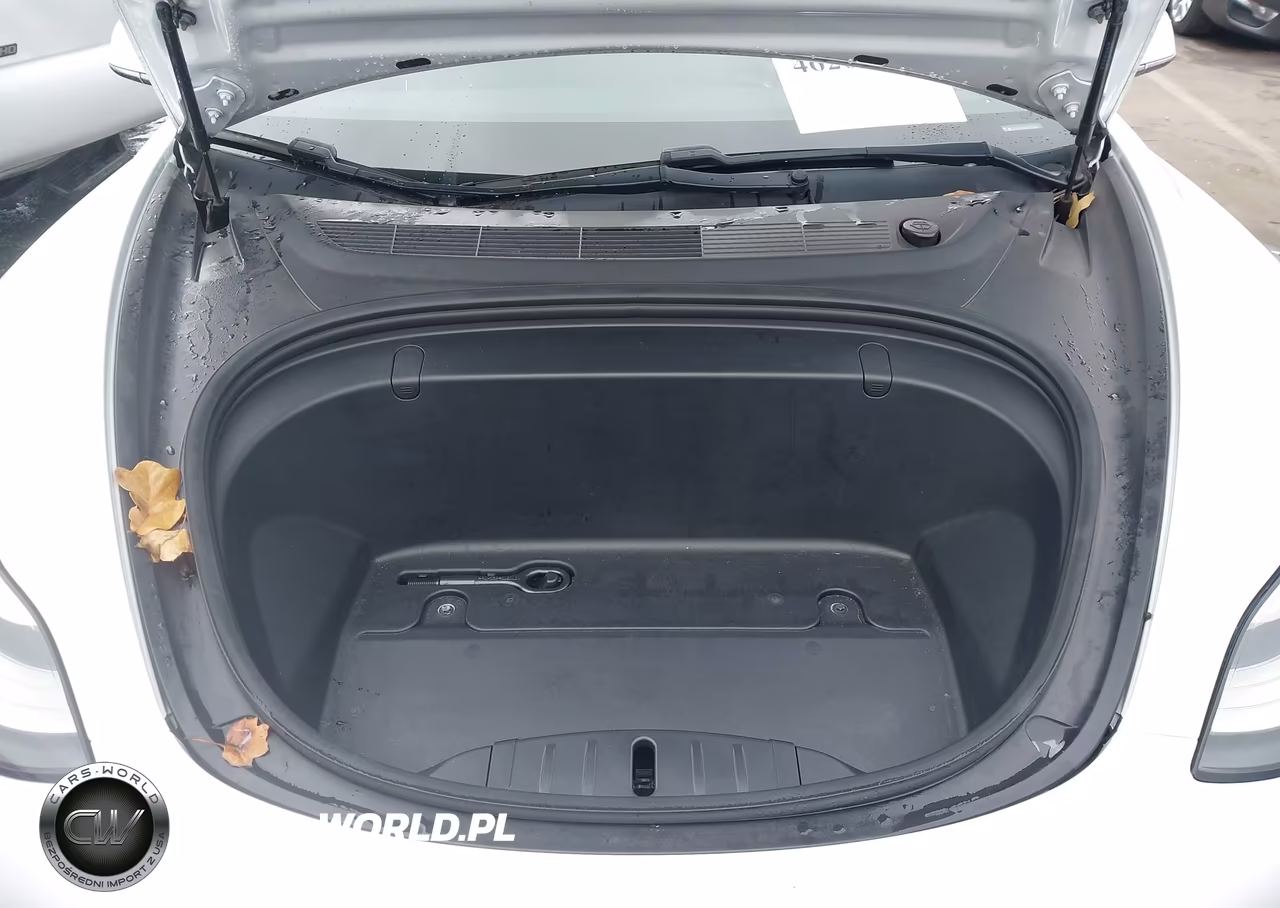 2019 Tesla Model 3 Long Range-Mid Range-Standard Range-Standard Range Plus VIN:5YJ3E1EA6KF483438 - 10