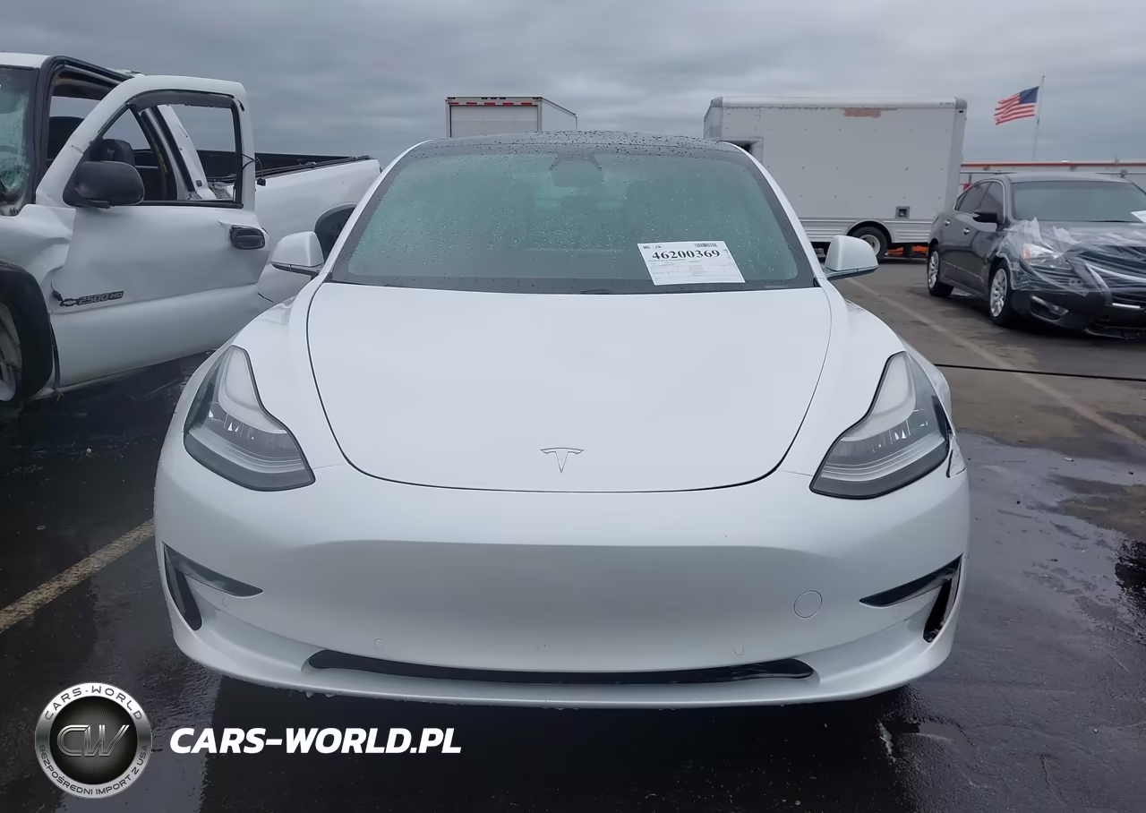 2019 Tesla Model 3 Long Range-Mid Range-Standard Range-Standard Range Plus VIN:5YJ3E1EA6KF483438 - 12