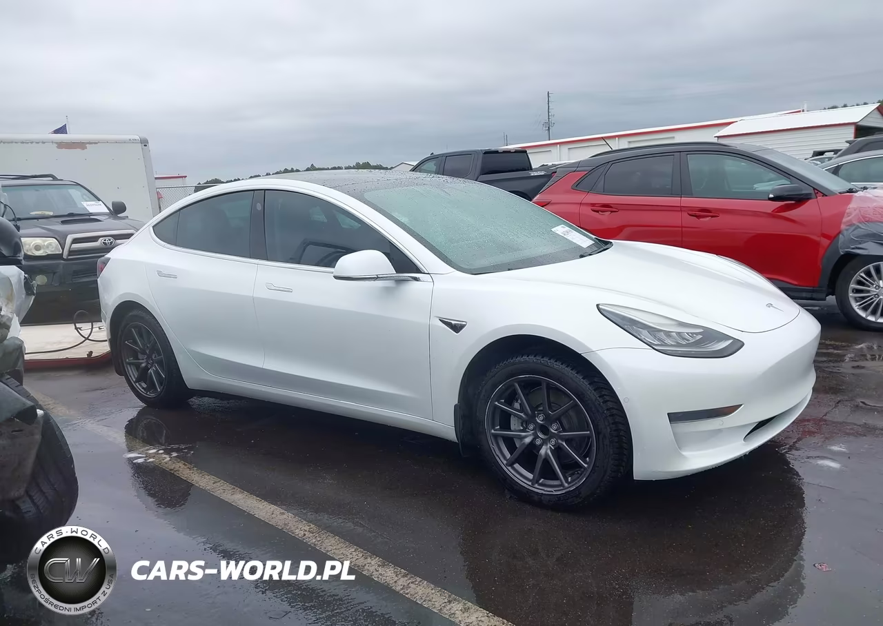 2019 Tesla Model 3 Long Range-Mid Range-Standard Range-Standard Range Plus VIN:5YJ3E1EA6KF483438 - 13