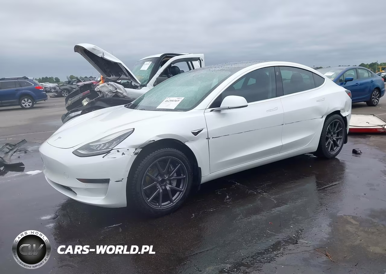 2019 Tesla Model 3 Long Range-Mid Range-Standard Range-Standard Range Plus VIN:5YJ3E1EA6KF483438 - 14