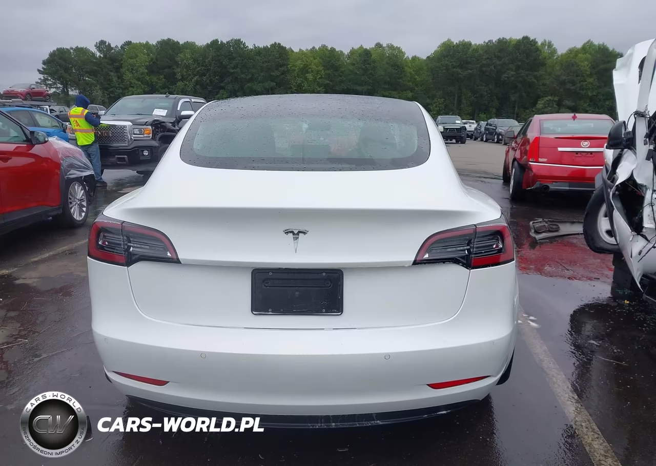2019 Tesla Model 3 Long Range-Mid Range-Standard Range-Standard Range Plus VIN:5YJ3E1EA6KF483438 - 16