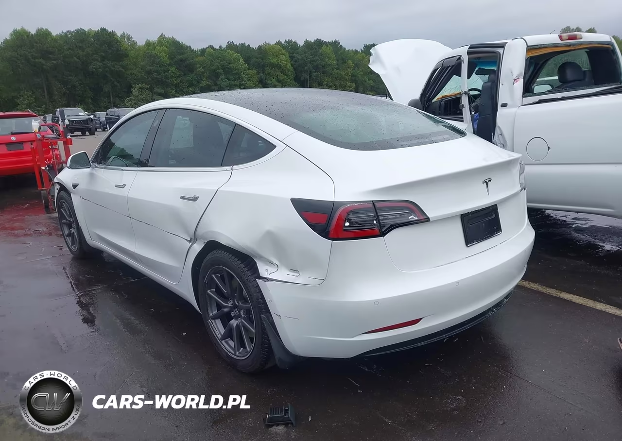 2019 Tesla Model 3 Long Range-Mid Range-Standard Range-Standard Range Plus VIN:5YJ3E1EA6KF483438 - 3