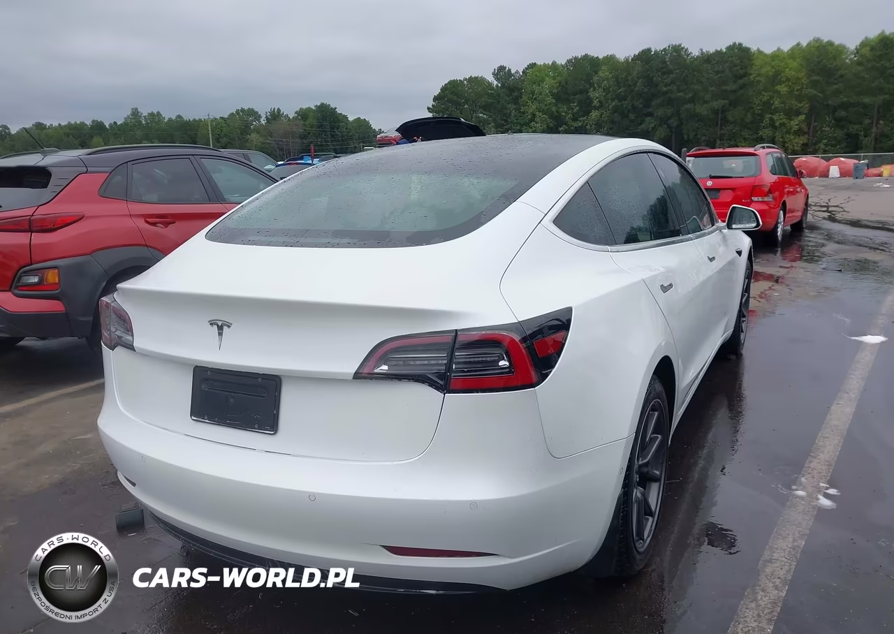 2019 Tesla Model 3 Long Range-Mid Range-Standard Range-Standard Range Plus VIN:5YJ3E1EA6KF483438 - 4