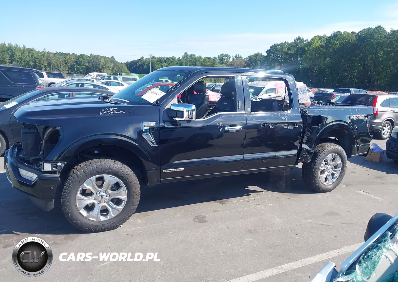 2022 Ford F-150 Platinum VIN:1FTFW1ED9NFA48708 - 15