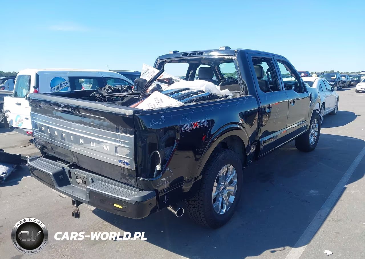 2022 Ford F-150 Platinum VIN:1FTFW1ED9NFA48708 - 4