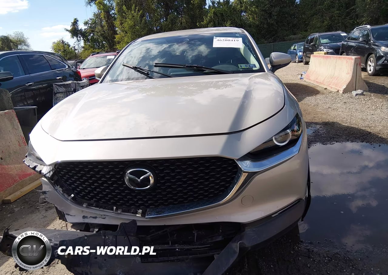 2022 Mazda Cx-30 Select VIN:3MVDMBBL4NM457762 - 13