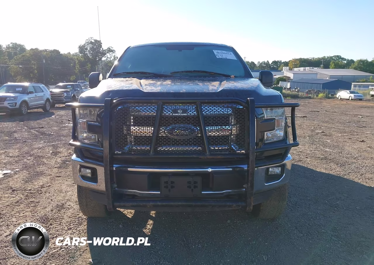 2015 Ford F-150 Xlt VIN:1FTEW1EG5FKD83804 - 13
