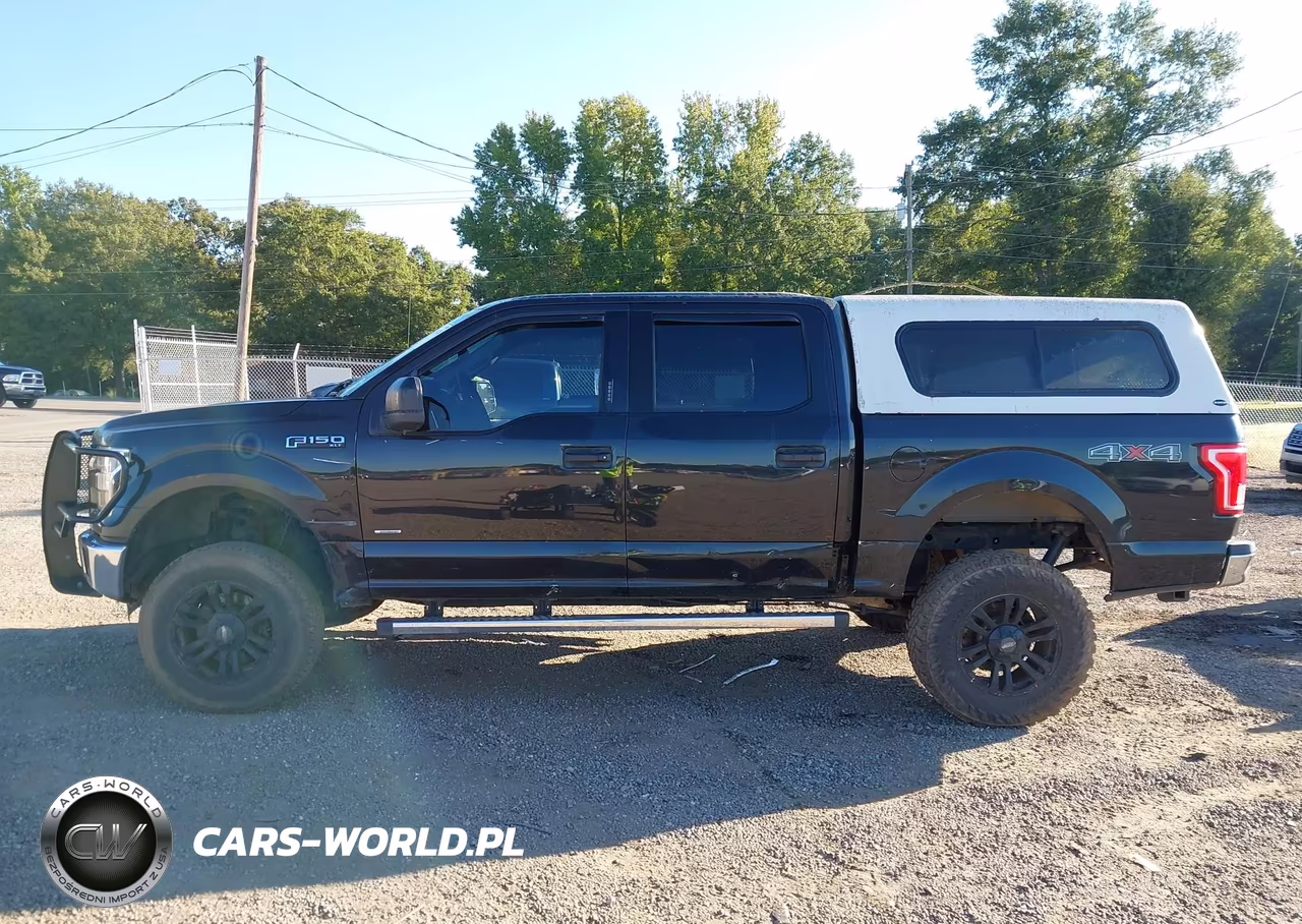 2015 Ford F-150 Xlt VIN:1FTEW1EG5FKD83804 - 15