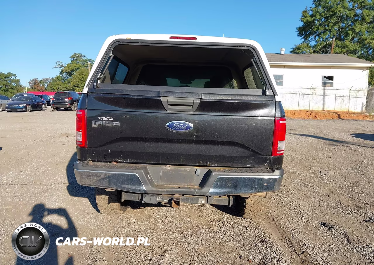 2015 Ford F-150 Xlt VIN:1FTEW1EG5FKD83804 - 17