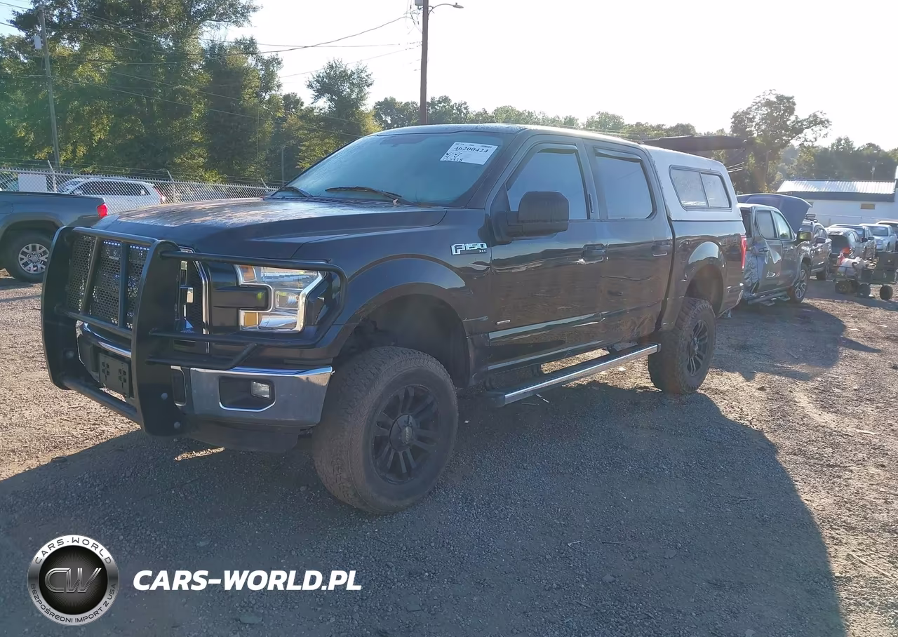 2015 Ford F-150 Xlt VIN:1FTEW1EG5FKD83804 - 2