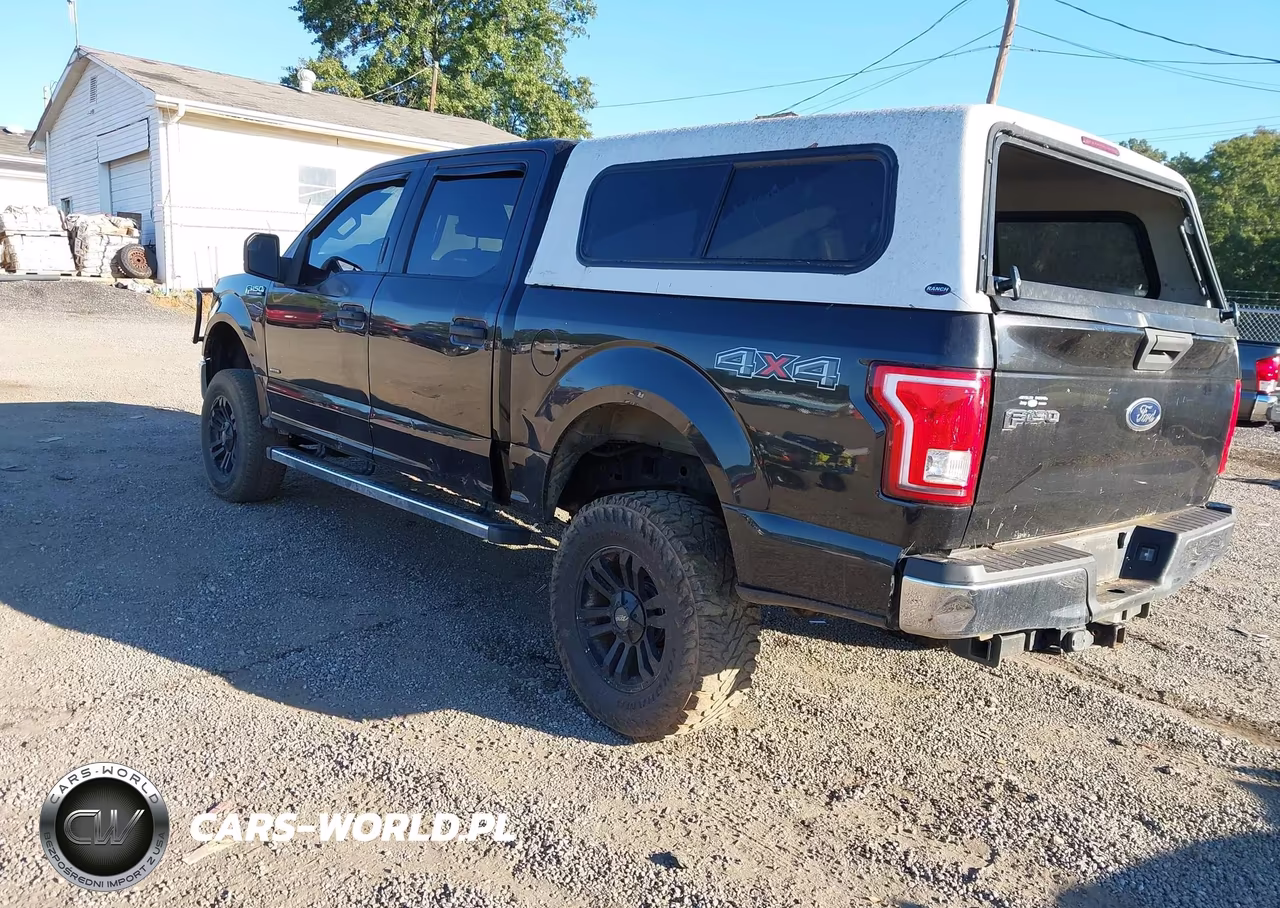 2015 Ford F-150 Xlt VIN:1FTEW1EG5FKD83804 - 3