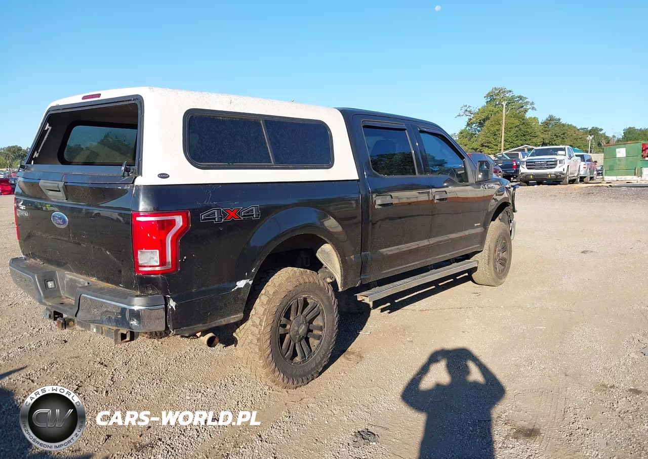 2015 Ford F-150 Xlt VIN:1FTEW1EG5FKD83804 - 4