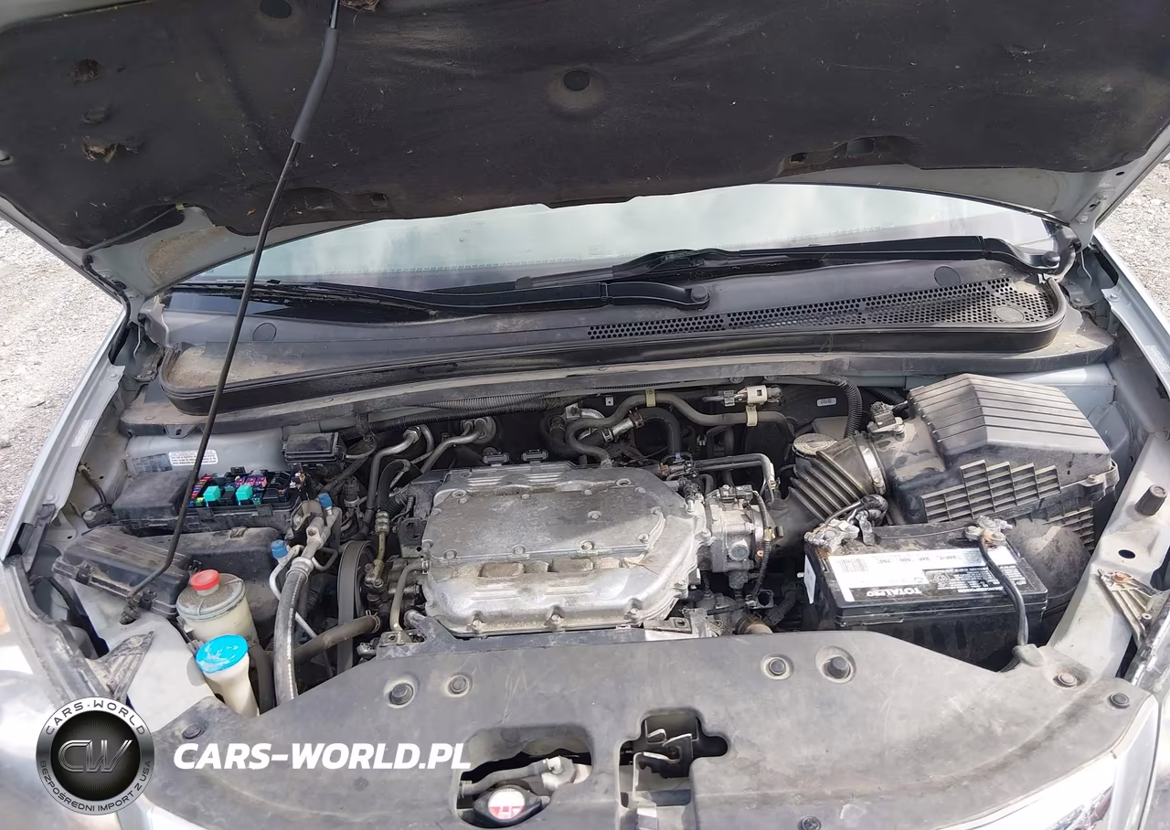 2009 Honda Odyssey Ex-L VIN:5FNRL38669B039697 - 10