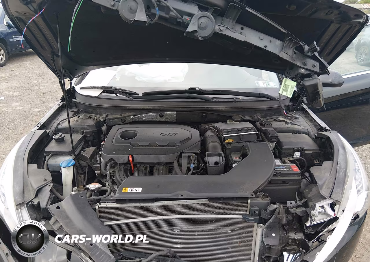2016 Hyundai Sonata VIN:5NPE24AF6GH418117 - 10