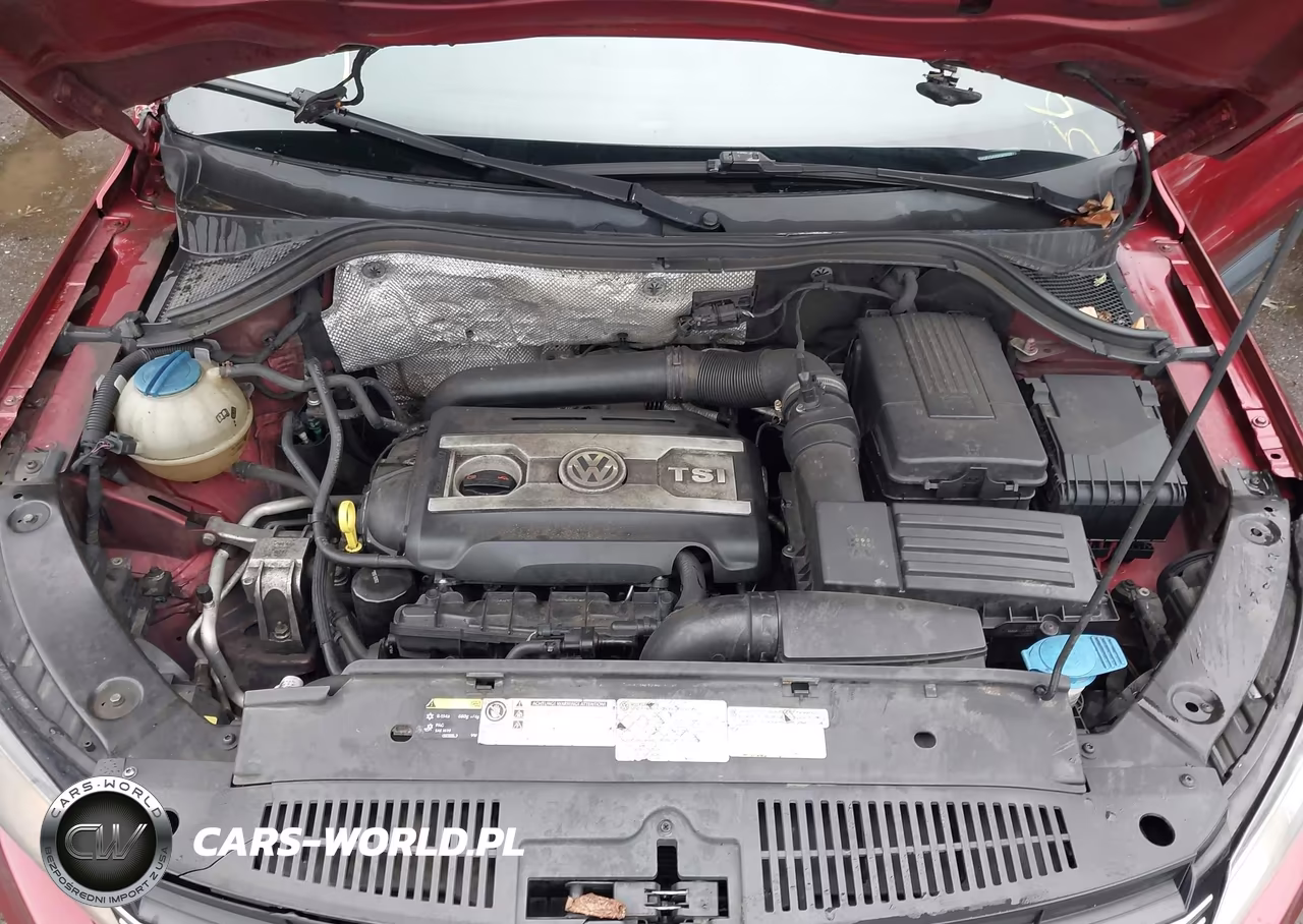 2014 Volkswagen Tiguan Se VIN:WVGBV3AX0EW003973 - 10