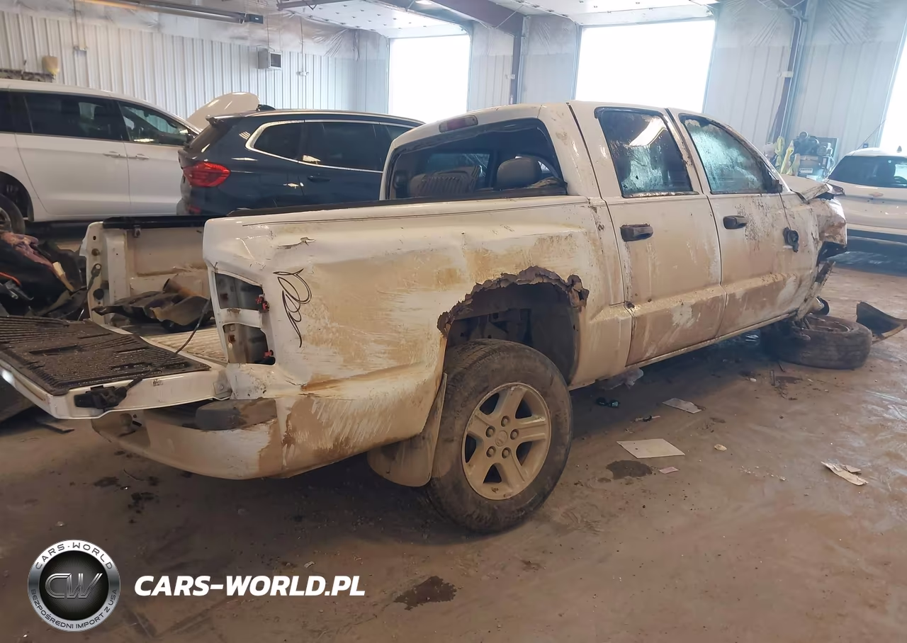 2010 Dodge Dakota Bighorn-Lonestar VIN:1D7CE3GK5AS212928 - 4