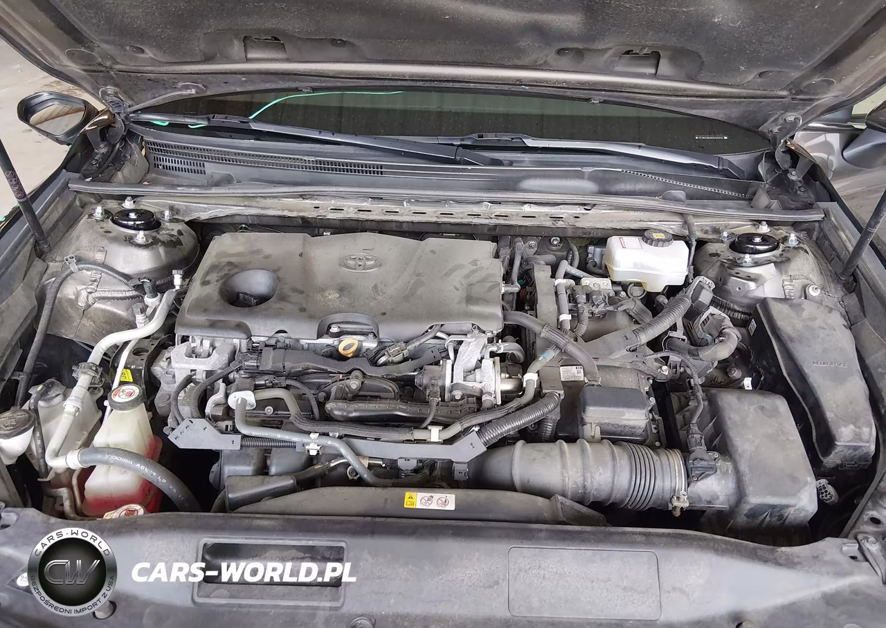 2019 Toyota Camry Hybrid Le VIN:4T1B31HK9KU007029 - 10