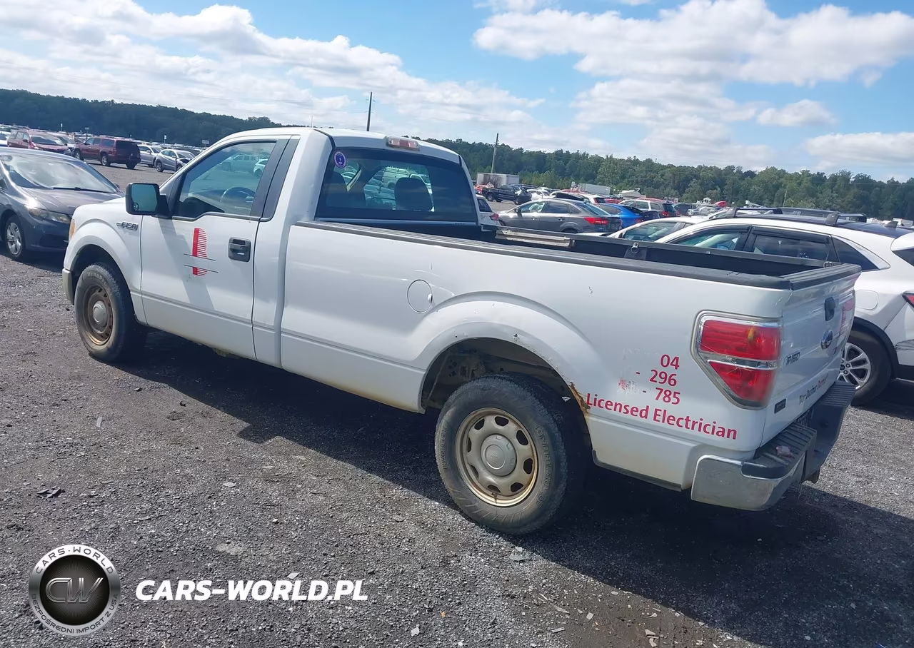 2010 Ford F-150 Stx-Xl-Xlt VIN:1FTMF1CW8AKC01799 - 3