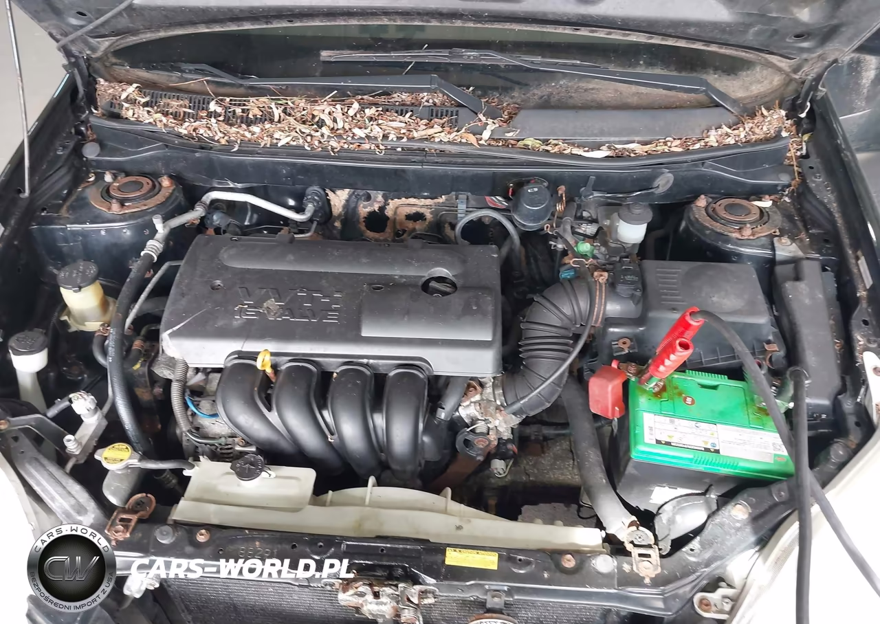 2003 Toyota Matrix Xr VIN:2T1KR38E33C031155 - 10