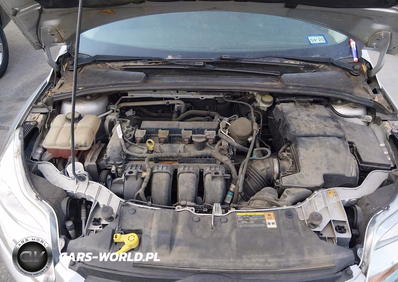 2014 Ford Focus Se VIN:1FADP3K29EL174951 - 10