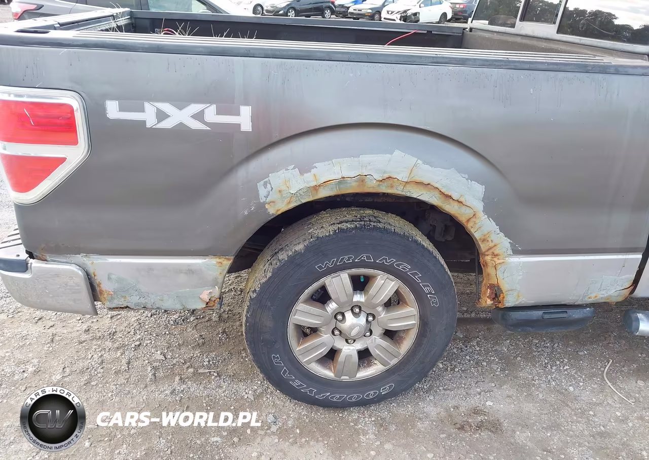 2009 Ford F-150 Xlt VIN:1FTPX14V19FB05615 - 13