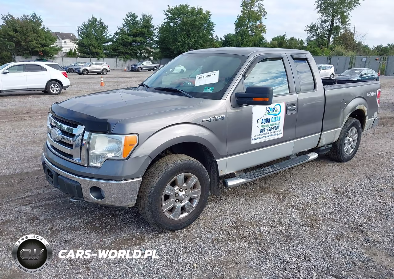 2009 Ford F-150 Xlt VIN:1FTPX14V19FB05615 - 2