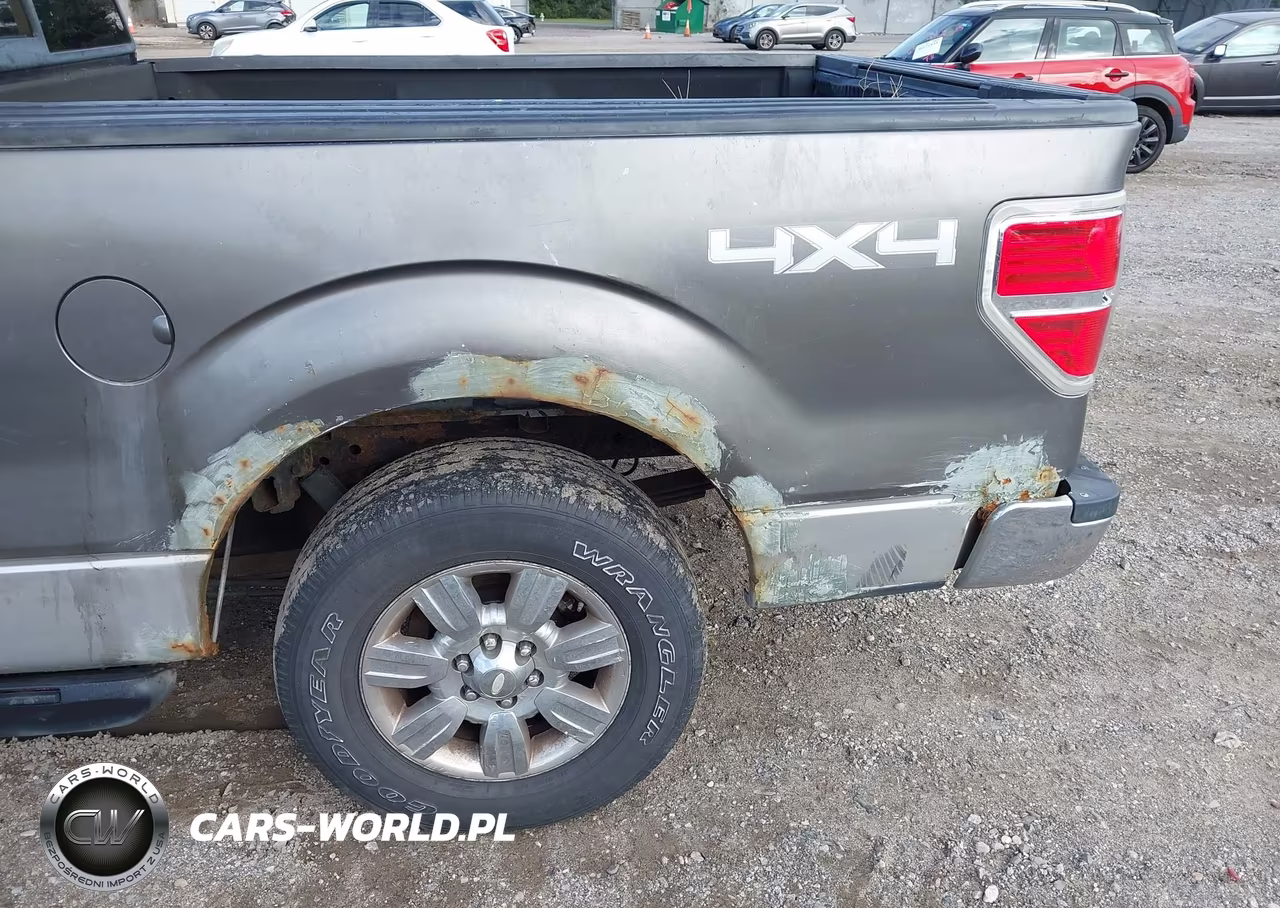 2009 Ford F-150 Xlt VIN:1FTPX14V19FB05615 - 6