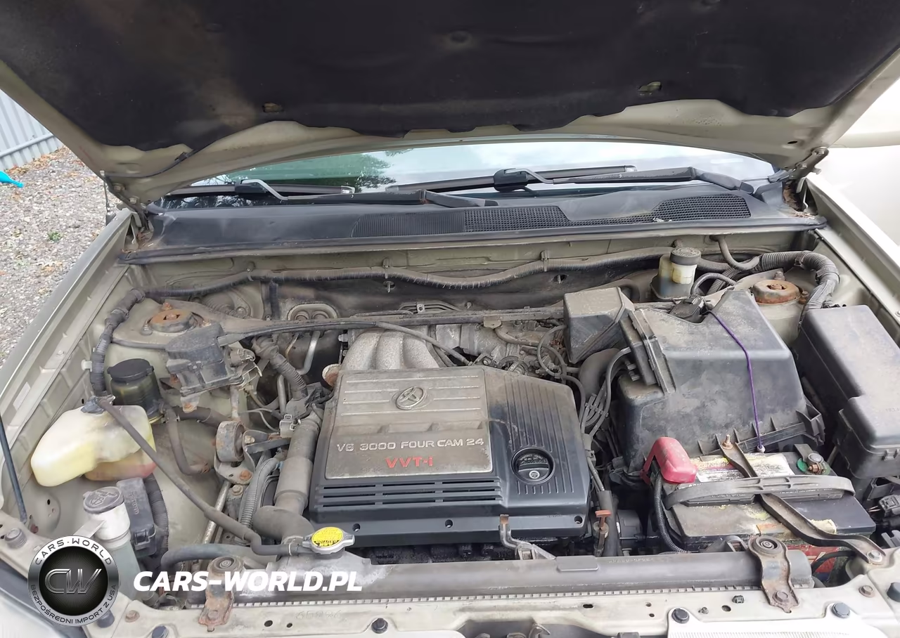 2001 Toyota Highlander V6 VIN:JTEHF21A210025676 - 10