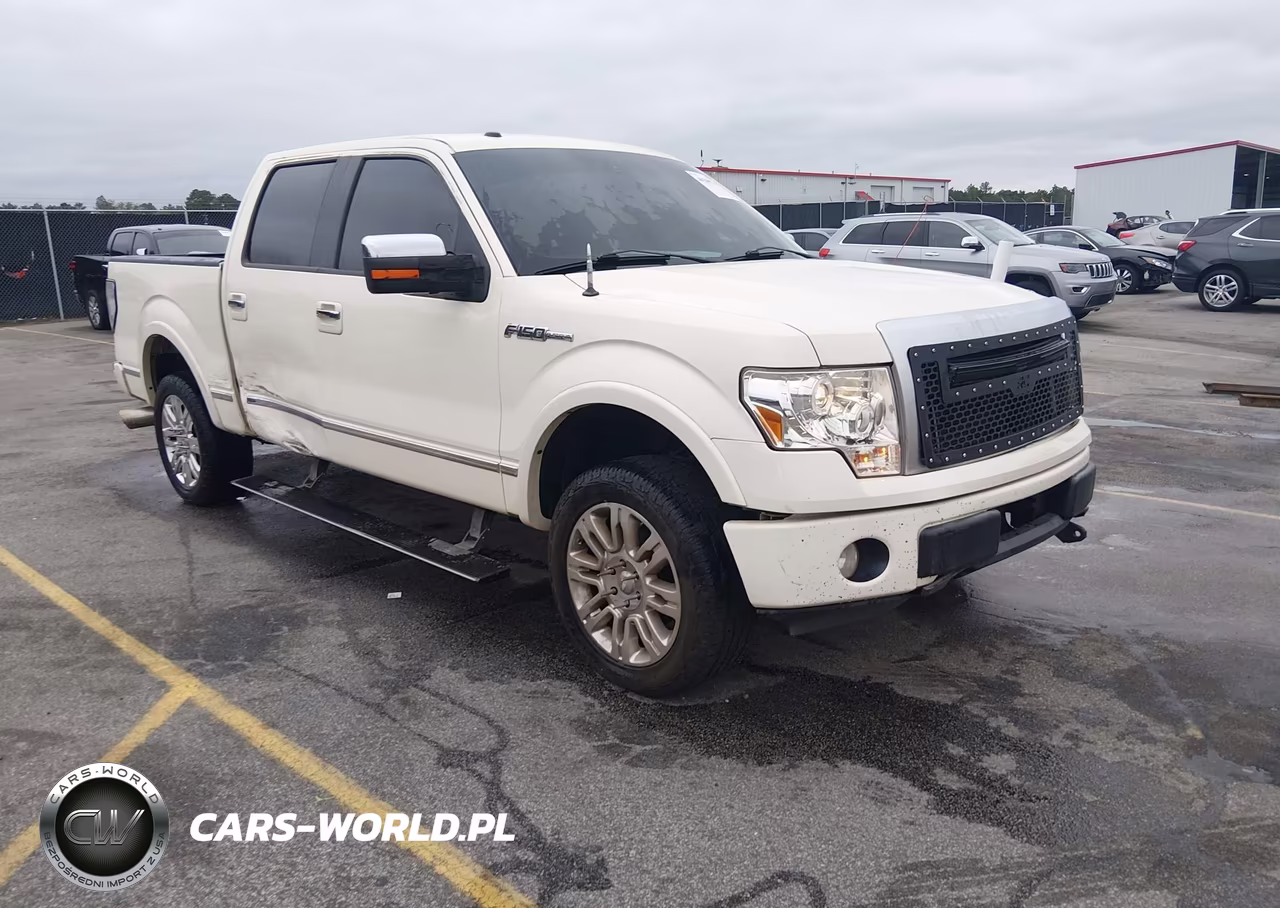 2009 Ford F-150 Fx4-King Ranch-Lariat-Platinum-Xl-Xlt