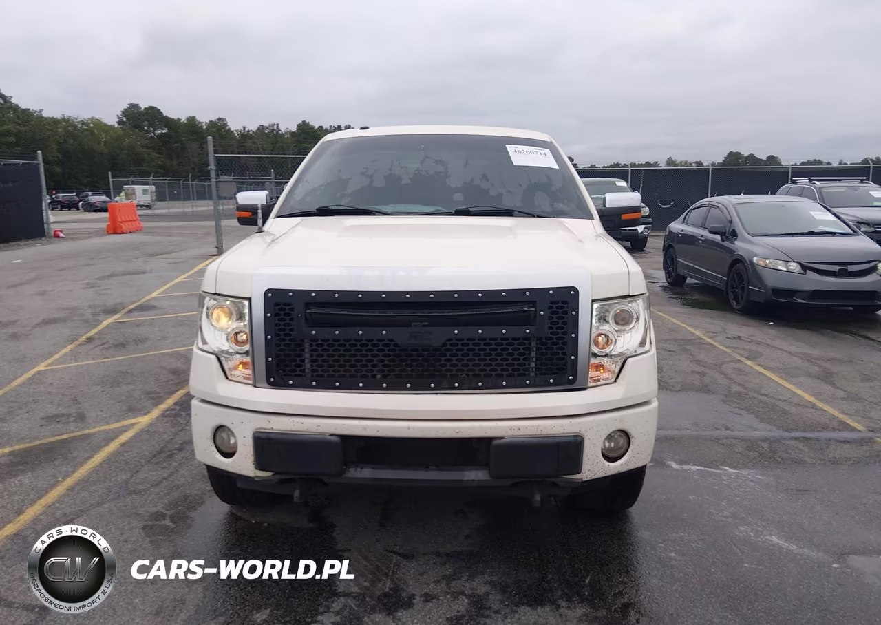 2009 Ford F-150 Fx4-King Ranch-Lariat-Platinum-Xl-Xlt VIN:1FTPW14V49FB18300 - 12
