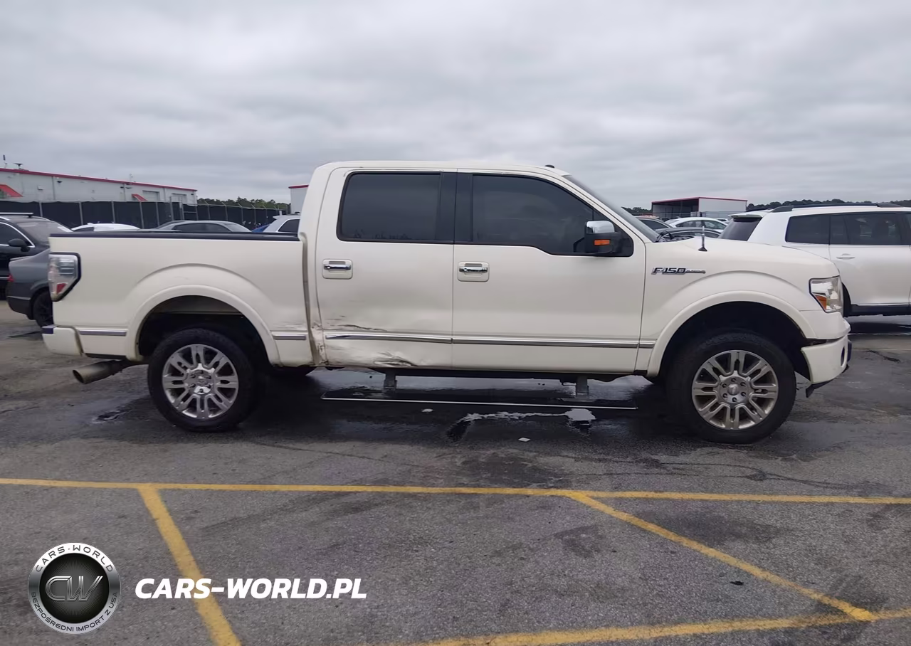 2009 Ford F-150 Fx4-King Ranch-Lariat-Platinum-Xl-Xlt VIN:1FTPW14V49FB18300 - 13