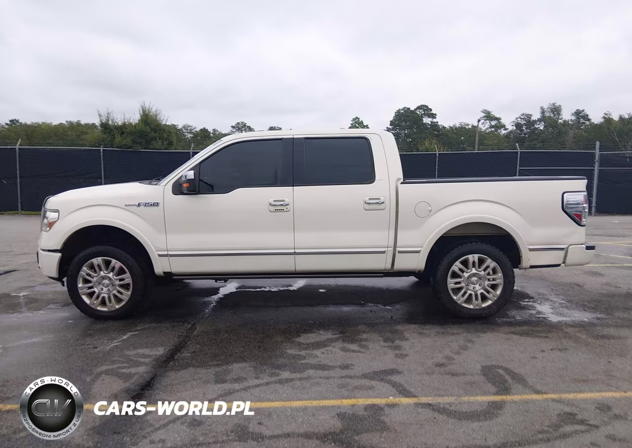 2009 Ford F-150 Fx4-King Ranch-Lariat-Platinum-Xl-Xlt VIN:1FTPW14V49FB18300 - 14