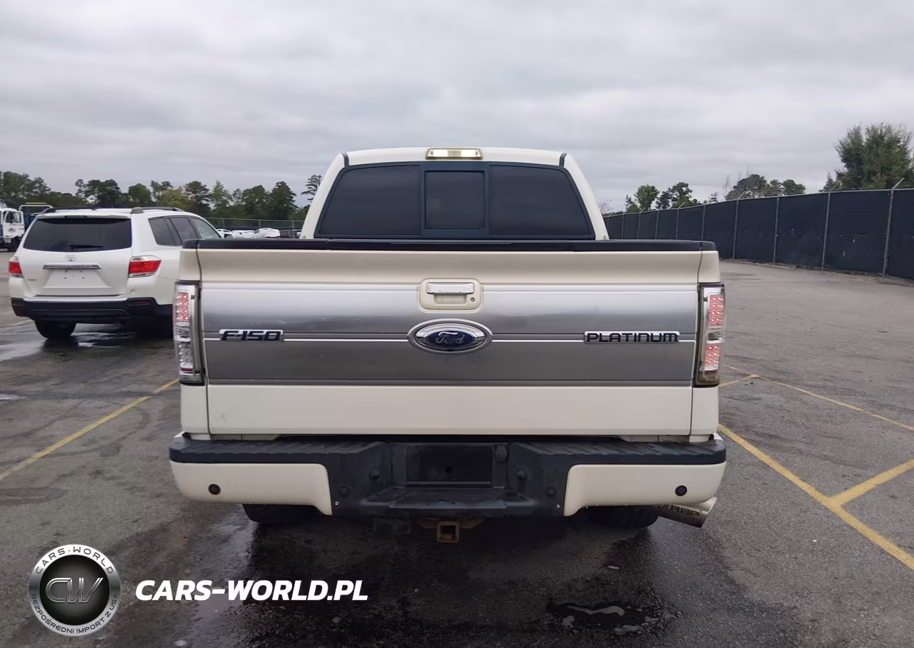 2009 Ford F-150 Fx4-King Ranch-Lariat-Platinum-Xl-Xlt VIN:1FTPW14V49FB18300 - 16