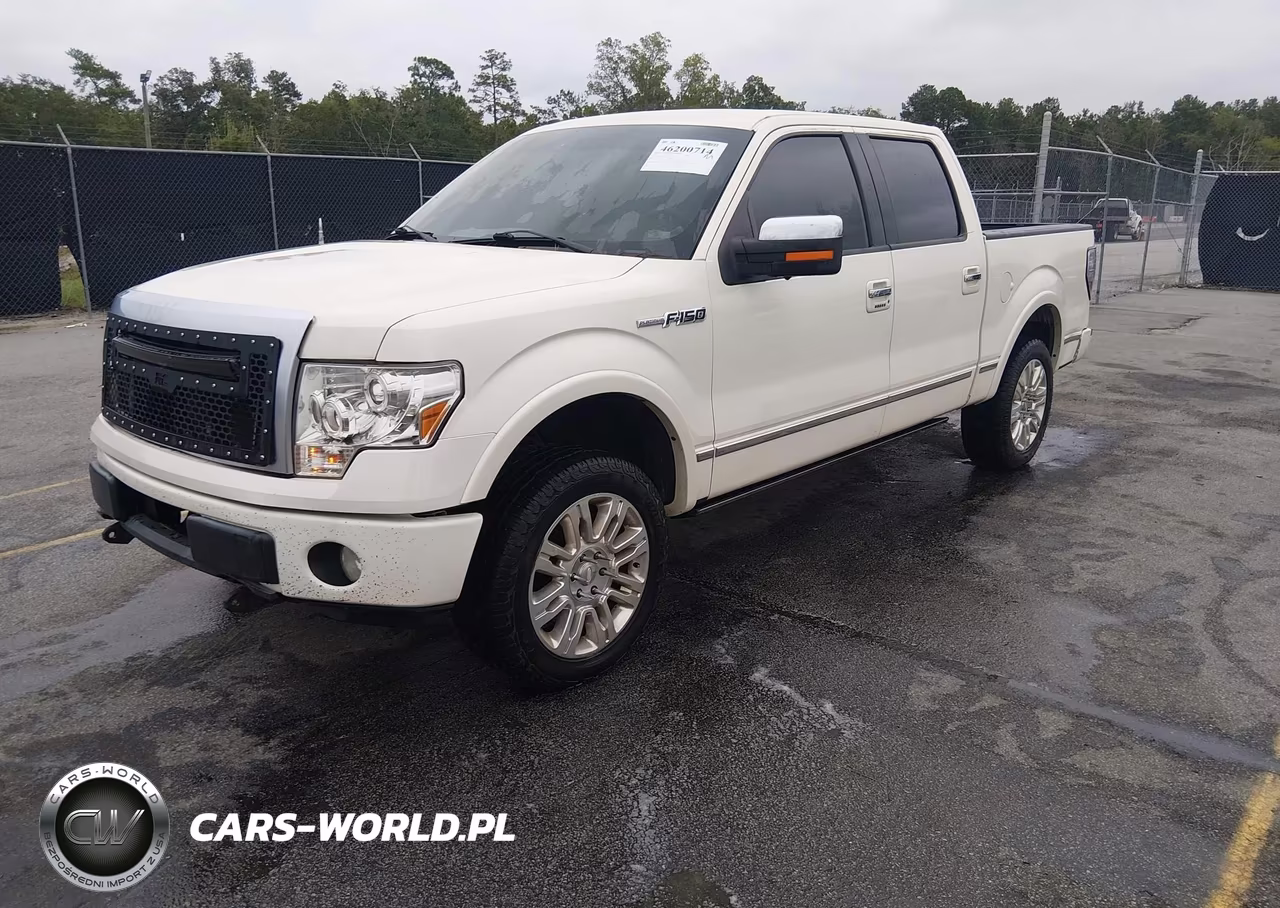2009 Ford F-150 Fx4-King Ranch-Lariat-Platinum-Xl-Xlt VIN:1FTPW14V49FB18300 - 2