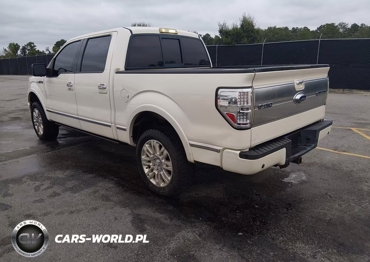 2009 Ford F-150 Fx4-King Ranch-Lariat-Platinum-Xl-Xlt VIN:1FTPW14V49FB18300 - 3