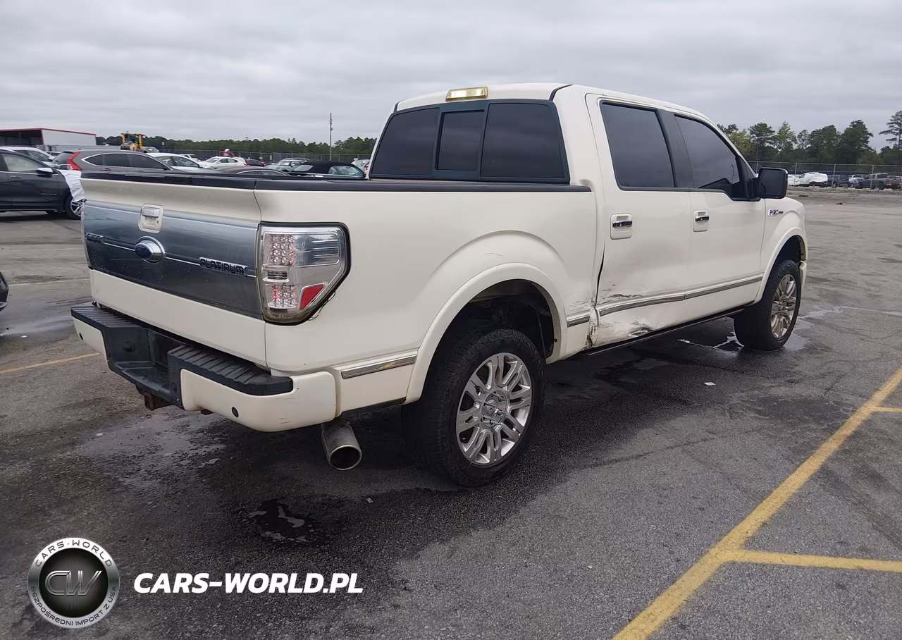 2009 Ford F-150 Fx4-King Ranch-Lariat-Platinum-Xl-Xlt VIN:1FTPW14V49FB18300 - 4
