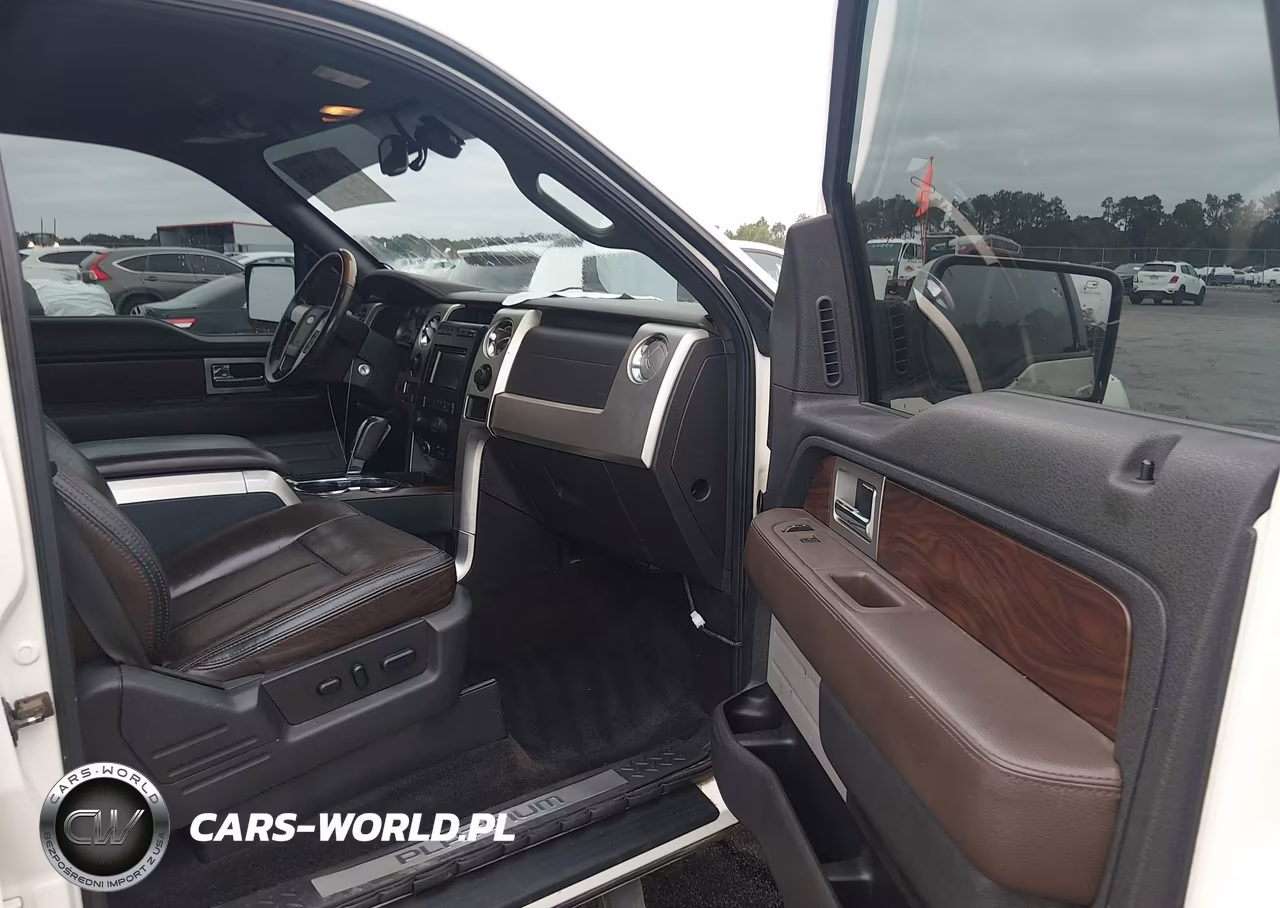 2009 Ford F-150 Fx4-King Ranch-Lariat-Platinum-Xl-Xlt VIN:1FTPW14V49FB18300 - 5