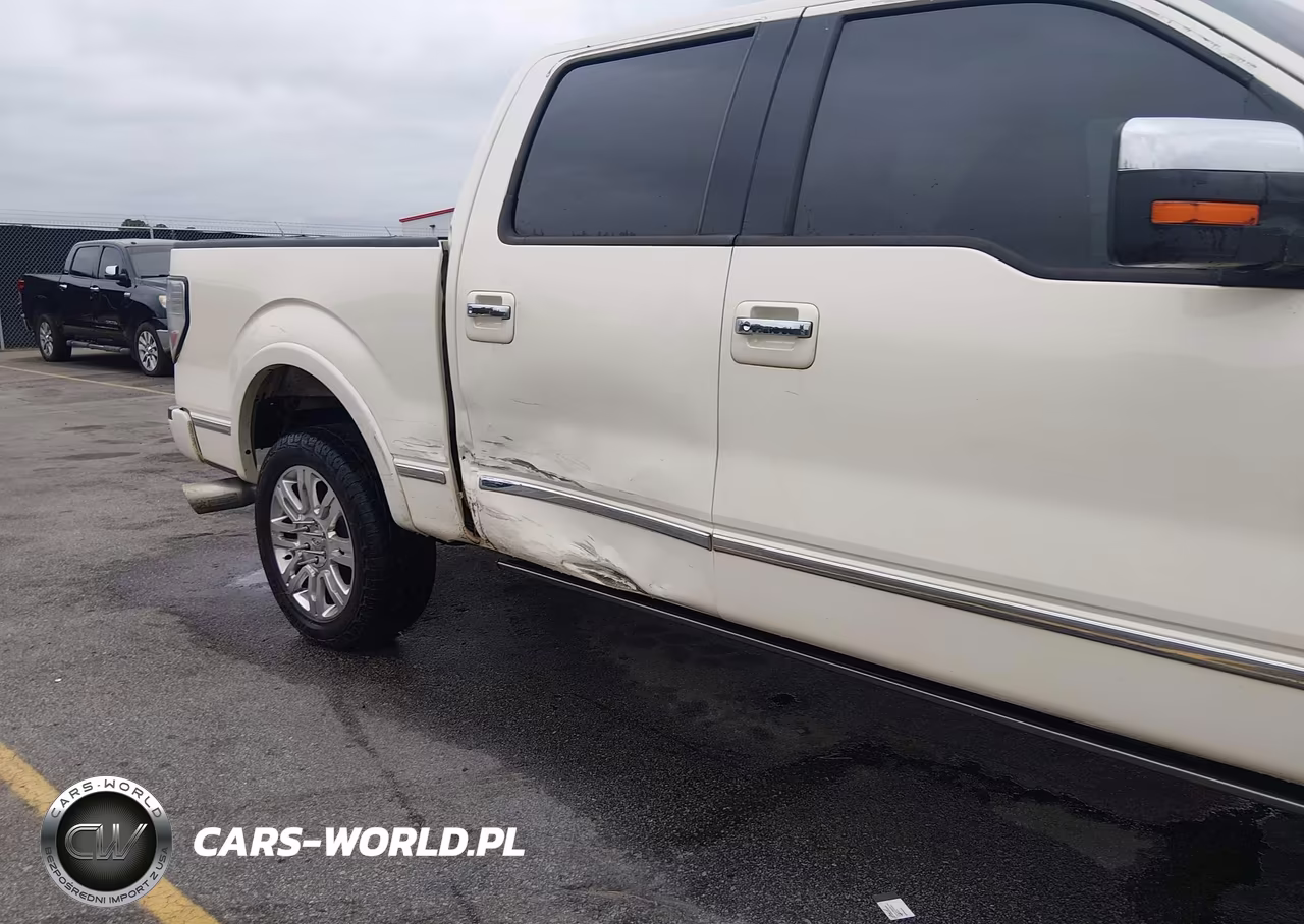 2009 Ford F-150 Fx4-King Ranch-Lariat-Platinum-Xl-Xlt VIN:1FTPW14V49FB18300 - 6