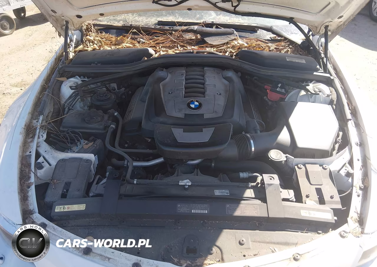 2009 BMW 6 Series 650I VIN:WBAEB53579CX64814 - 10
