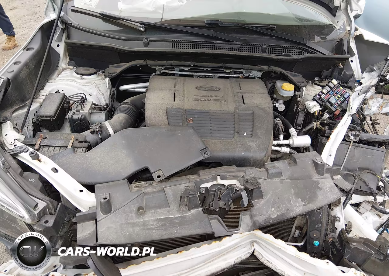 2019 Subaru Forester Limited VIN:JF2SKAUC6KH536485 - 10
