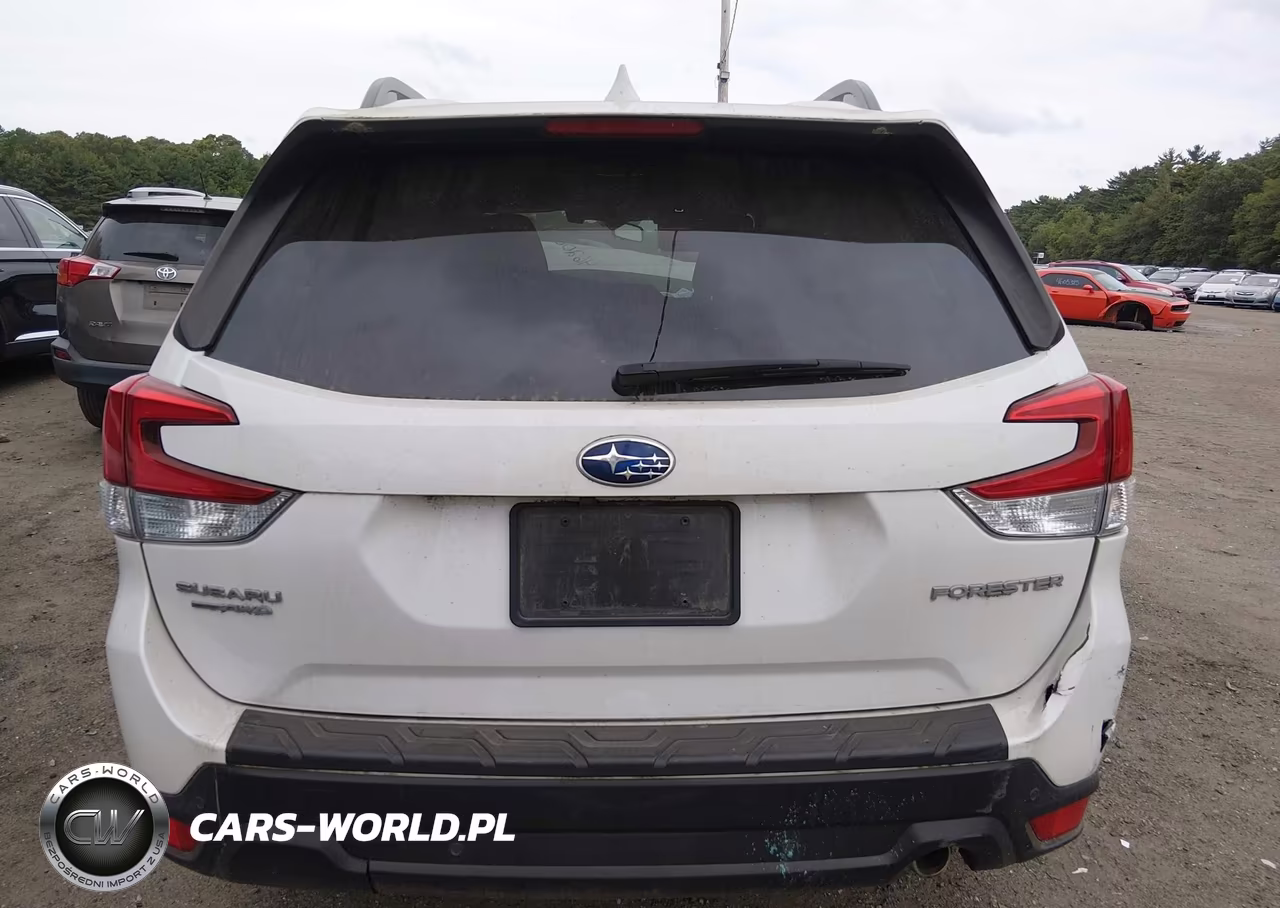 2019 Subaru Forester Limited VIN:JF2SKAUC6KH536485 - 17