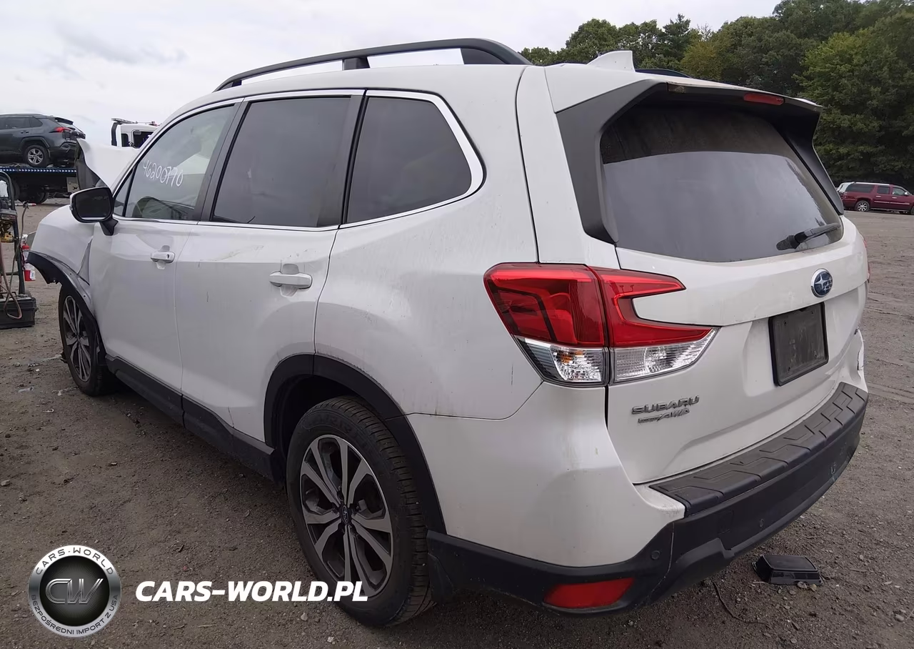 2019 Subaru Forester Limited VIN:JF2SKAUC6KH536485 - 3