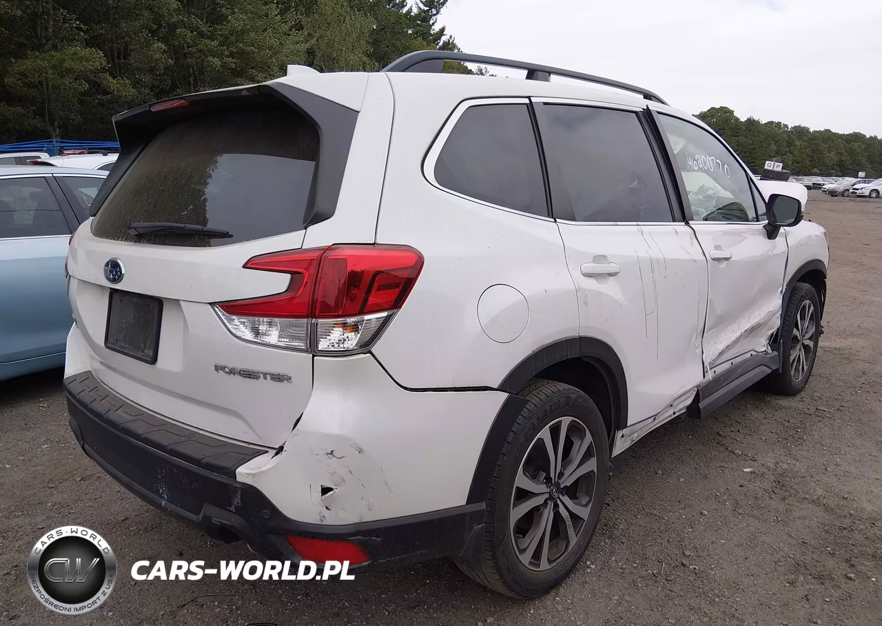 2019 Subaru Forester Limited VIN:JF2SKAUC6KH536485 - 4